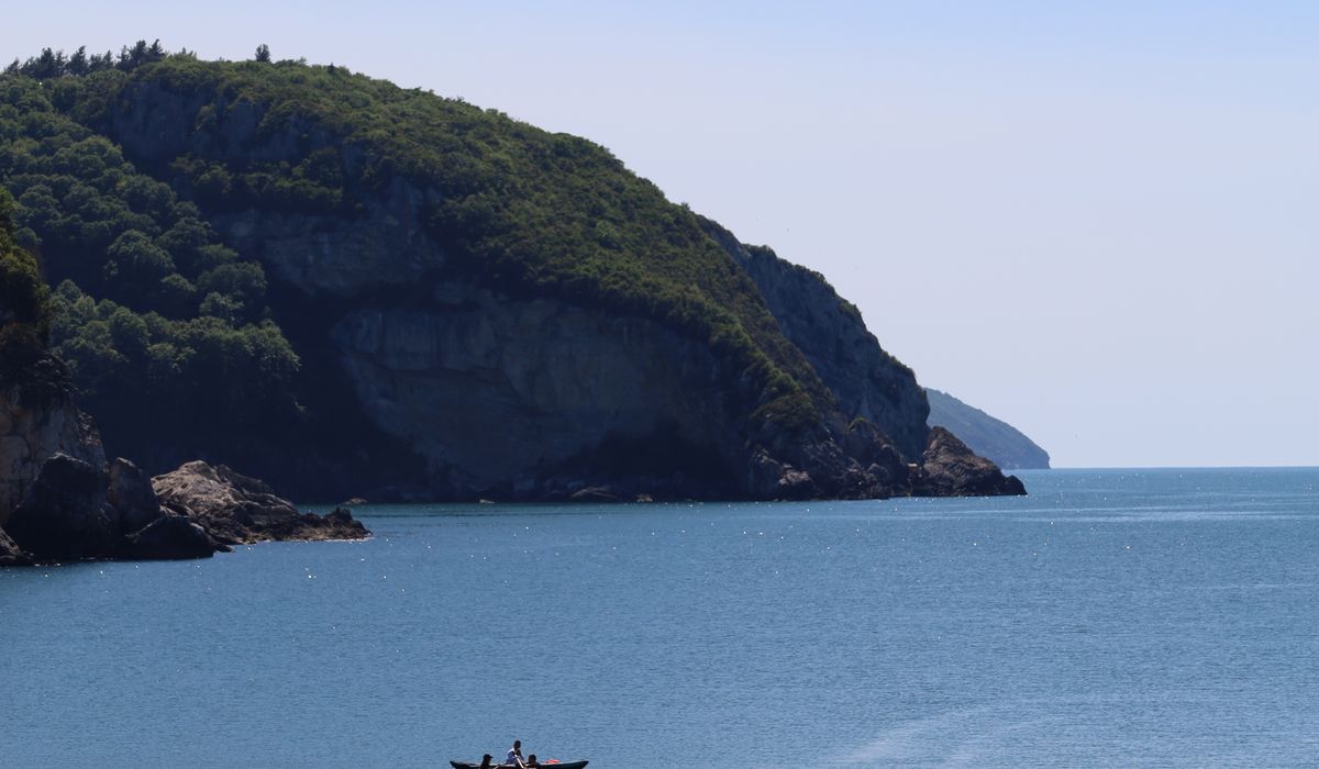 Coastal Glen