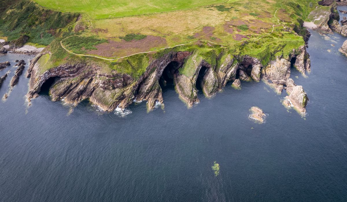 Coastal Glen
