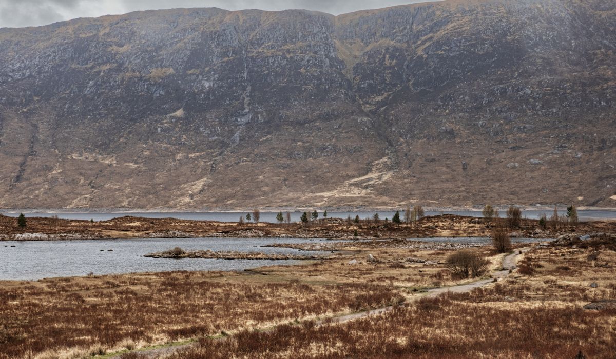 Coastal Glen