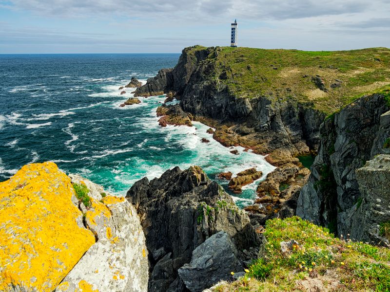 Coastal Glen