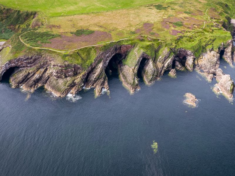 Coastal Glen