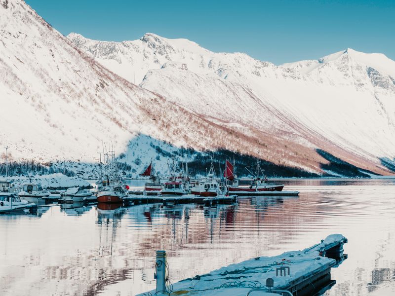 Coastal Glen