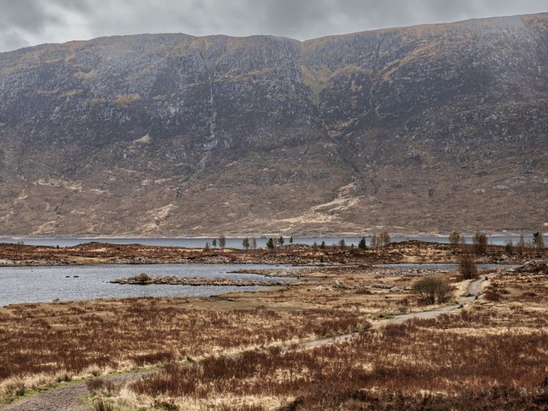 Coastal Glen