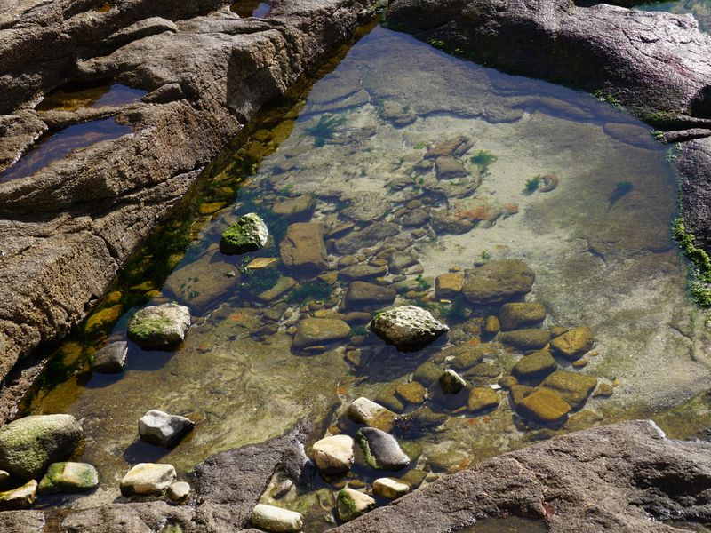 Coastal Glen