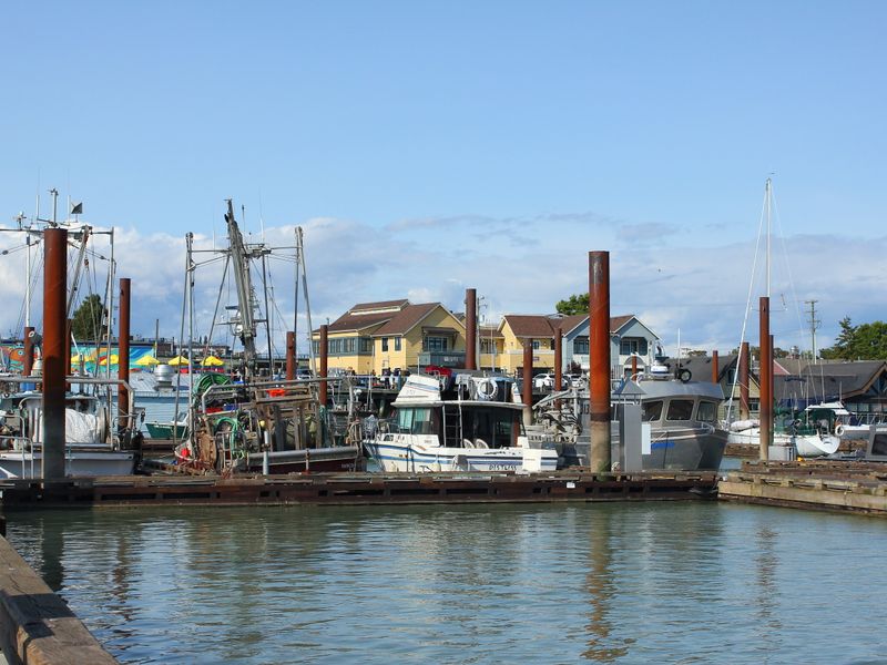 Coastal Glen