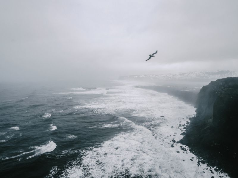 Coastal Glen