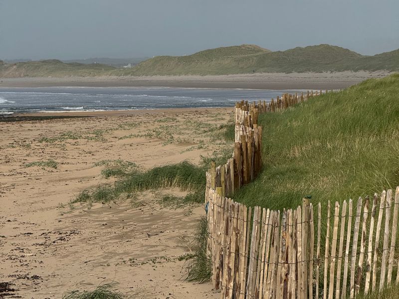 Coastal Glen